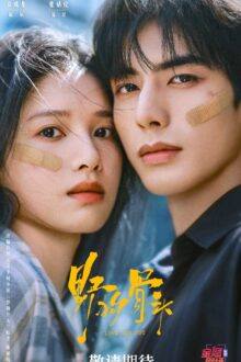 Watch the latest show Love for You with English subtitles for free in Asiaflix